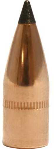 Nosler Bullet Vg 310 123 Fb Tipped-100 Ct
