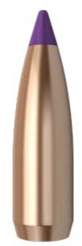 Nosler Varmint Ballistic Tip 6MM Caliber 70 Grain Spitzer 100/Box Md: 39532 Bullets
