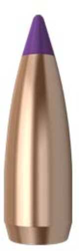 Nosler Spitzer Varmint Ballistic Tip 6MM Caliber 55 Grain 250/Box Md: 39565 Bullets