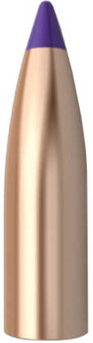 Nosler 45170 Lead Free .243 55 Grains 100 Per Box