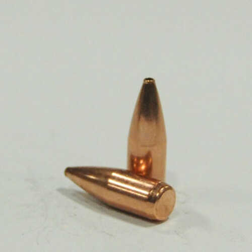 OEM Blem Bullets 22 Caliber .224 Diameter 52 Grain Boat Tail Hollow Point 100 Count (Blemished)