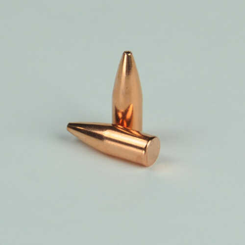 OEM Blem Bullets 22 Caliber .224 Diameter 53 Grain Hollow Point Flat Base Match 100 Count Boxed (Blemished)