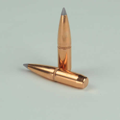 OEM Blem Bullets 6.5mm .264 Diameter 140 Grain Poly Tipped Boat Tail W/Cannelure 100 Count (Blemished)