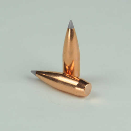 OEM Blem Bullets 30 Caliber .308 Diameter 155 Grain Poly Tipped Boat Tail 100 Count (Blemished)