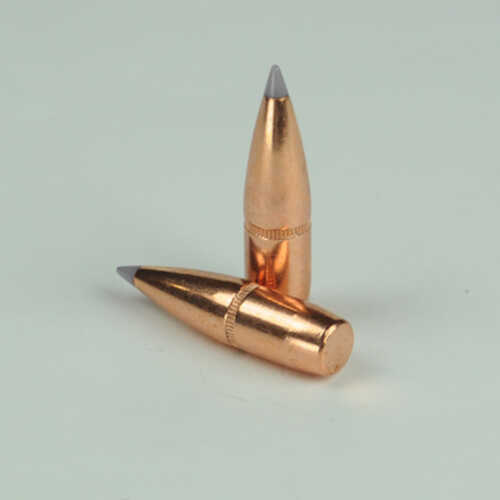 OEM Blem Bullets 30 Caliber .308 Diameter 165 Grain Poly Tipped Boat Tail W/Cannelure 100 Count (Blemished)