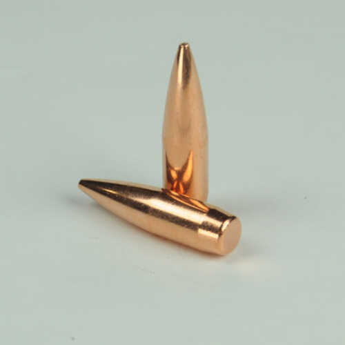 OEM Blem Bullets 30 Caliber .308 Diameter 168 Grain Boat Tail Hollow Point Match 100 Count (Blemished)
