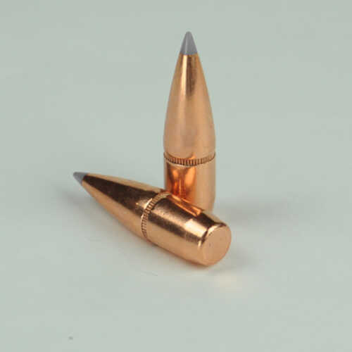 OEM Blem Bullets .338 Caliber Diameter 200 Grain Poly Tip 100 Count Box (Blemished)