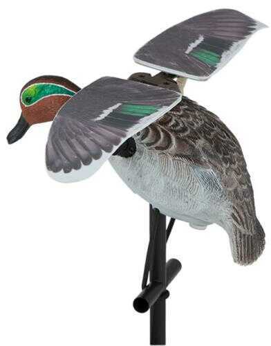 Lucky Duck Flapper Teal Hd Model: 21-10916-8
