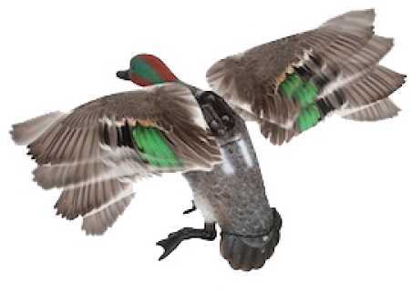Expedite Lucky Teal Spinning Wings