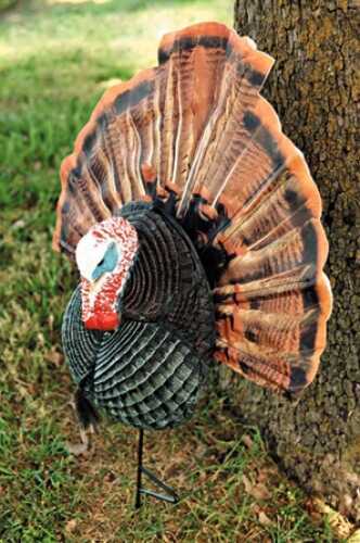 Flextone Turkey Decoy Funky Chicken