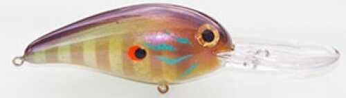 Norman NXS Crankbait 5/8Oz 2 1/2In 12-16ft P Perch