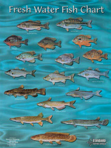 Standard Fish Chart Fresh Water Md#: FC002