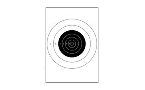 Action Target 25 Yard Slow Fire Bulls-Eye Heavy Tagboard Paper 10.5"x 12" 100 Pack B-16-100