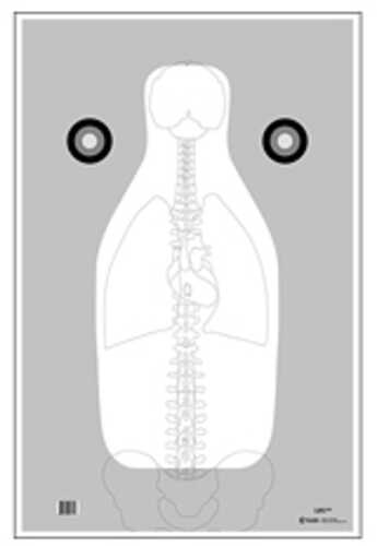 Action Target FBI Q Target w/ Vital Anatomy V2 Training Target Black White and Gray 23" x 35" 100 Per Box