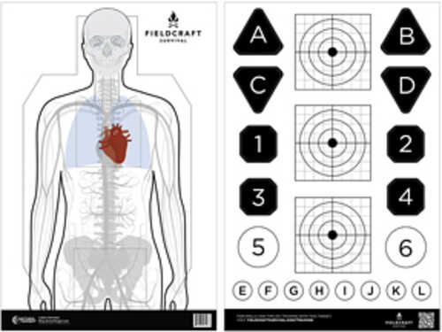 Action Target Fieldcraft Survival Double Sided Training Target Multi Color 23"x35" 100 Per Box Fldc-p-100