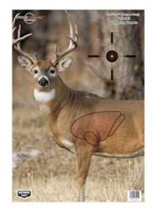 B Casey PREGAME Deer 16.5"X24" 3Pk