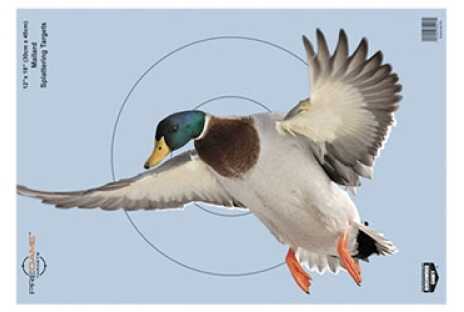B Casey PREGAME Duck 12"X18" 8Pk