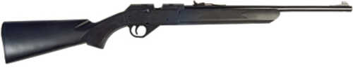 Daisy Powerline Model 35 BB/.177 Pellet 625 Feet per Second Matte Finish Black 50 Round BB Reservoir Single Shot Pellet