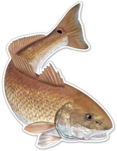 Salty Bones Action Fish Decal 5-1/2In X 7In REdFish Md#: Ed2477Sb