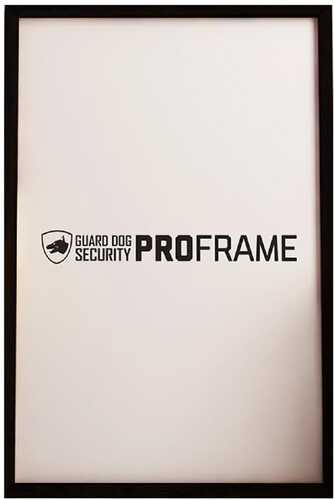 Skyline USA Inc BPGDPF1000 ProFrame 16" X 20" Picture Frame Black