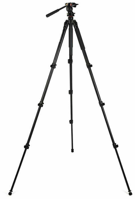 Celestron Tripod - Regal Premium - Black