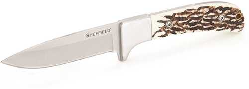 Sheffield Herod Fixed Blade 3.75 in Stag Handle Plain