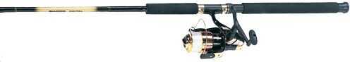 Master 860/3210Bk Saltwater Spinning Rod And Reel Combo 1BB 9'0 In. 2Pc DN182WL