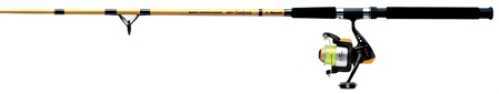 Pinnacle Fishbonz BW Combo 10 Foot 2 Piece