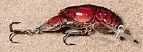 Rebel Wee-Craw 1/5Oz 2 In. Texas Red