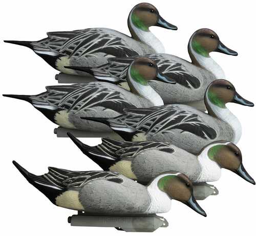 Higdon Outdoors 16544 Battleship Pintail Species Multi Color Foam Filled 6 Pack