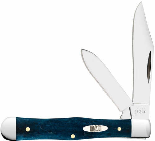 Case 10609 Father's Day 3" Folding Clip/pen Mirror Polished Tru-sharp Ss Blade Mediterranean Blue Bone Handle