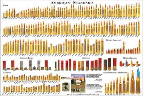 Chamberlain American Standard Rifle/Shotgun/Handgun 24"X 36" Poster, 2014