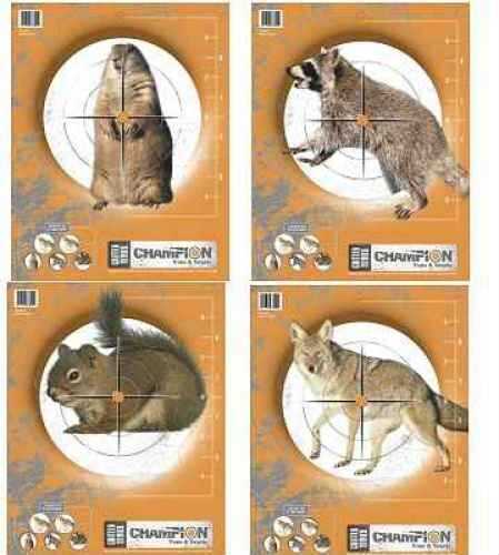 Champion 10 Pack 11"X14" Practice Targets Md: 45781