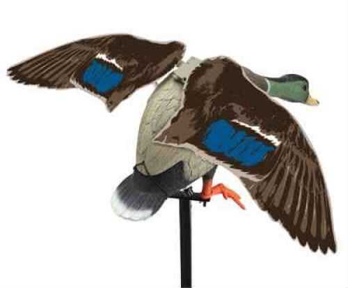 Expedite 714102 Rapid FLYER Drake 6V