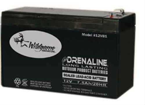 WGI-WGIBT0011 12V EDRENALINE Rechargeable Battery
