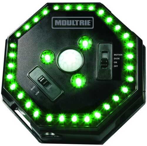 Moult Feeder Hog Light