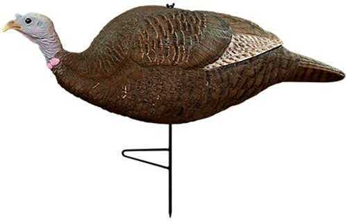 Prim GOBBSTOPPER Submissive Hen Dec