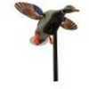 Mojo HW2470 Elite Series Mini Mallard Drake Decoy