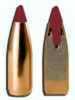 Nosler 39573 Ballistic Tip Varmint 204 Caliber .204 32 GR 250 Box