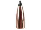 Nosler 6MM 55 Grain VARMA. FB Tipped 100CT