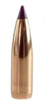 Nosler Varmint Ballistic Tip 6MM Caliber 70 Grain Spitzer 100/Box Md: 39532 Bullets