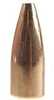 Barnes 22 Caliber VARMINATOR 40 Grains HP