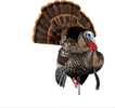 Avian X HDR Strutter Turkey Decoy