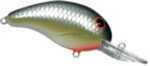 Bandit Mr 1/4 2" LA Shad