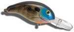 Bandit Dr 1/4 2" River Bream