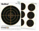 Champion Traps And Targets Visishot 6 - 3" Bulls 10 Pack 8.5"X11" Bright Orange circles Appear From Shots On