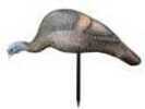 Carry-Lite Turkey Decoy Pretty Mama