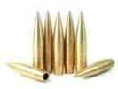 Lapua Bullets 50 BMG BULLEX-N 800 Grains Solid 20/Box