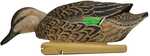 Avian-X Top Flight Green Wing Teal Decoys 6/ct