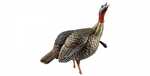 Avian-X HDR Jake Decoy